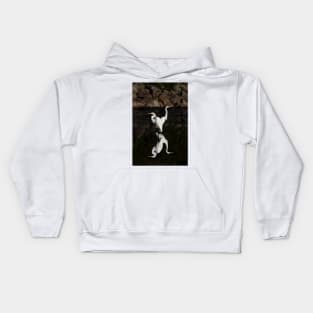 Reflective Moment - Great Egrets Kids Hoodie